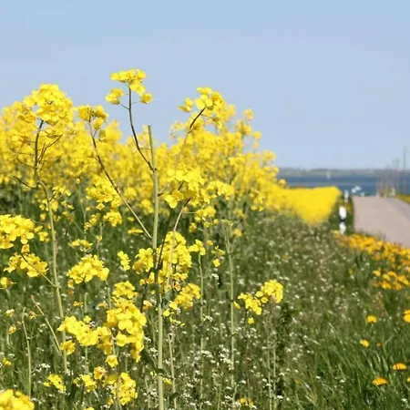 In Nahe Der Ostsee Damshagen