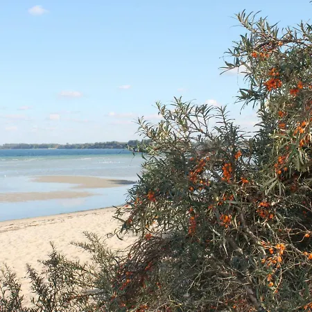 In Nahe Der Ostsee