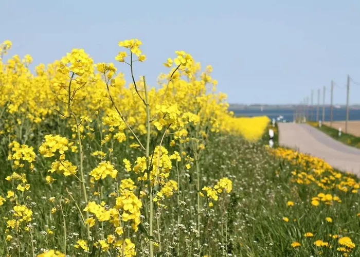 In Nahe Der Ostsee Damshagen